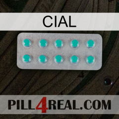 Cial 28